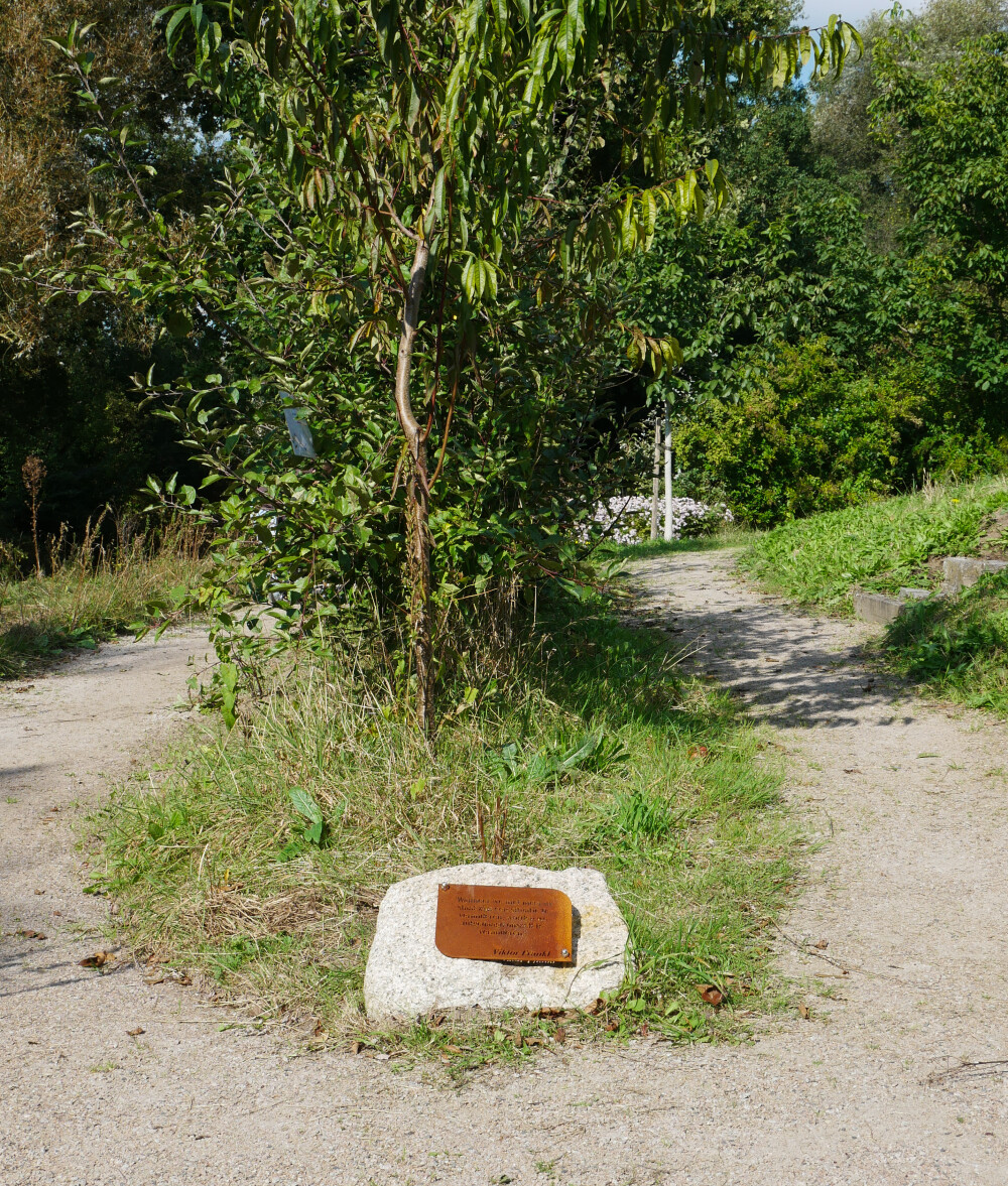 Bankje in de beleeftuin