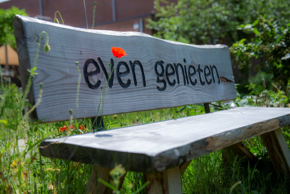 bankje in de beleeftuin